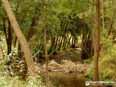 Hoces Río Duratón - Villa Sepúlveda; senderismo personalizado fin de semana romantico